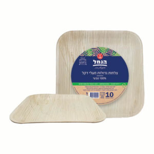 צלחות מרובעות גדול מדקל 10 יח` - בסיטונאות | הנמל אריזות ושיווק