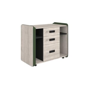 שלוחה - דגם קול