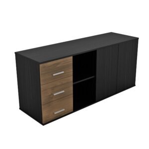 שלוחה - דגם אראיס