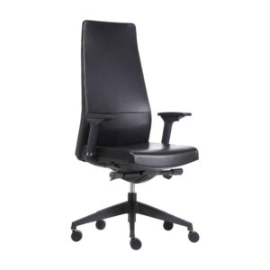 כסא מנהלים - דגם ליאן - פיוצ'ר