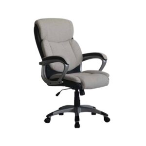 כסא מנהלים - דגם סילבר - פיוצ'ר