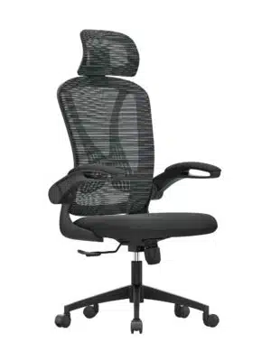 כסא ארגונומי מדגם A2201 שחור - פיוצ'ר